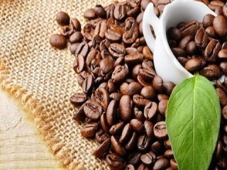 Giá cà phê hôm nay 9/10: Tăng nhẹ, chờ tín hiệu hồi phục những tháng cuối năm
