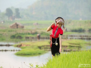 Khăn thêu trong đời sống văn hóa tâm linh người Thái Nghệ An